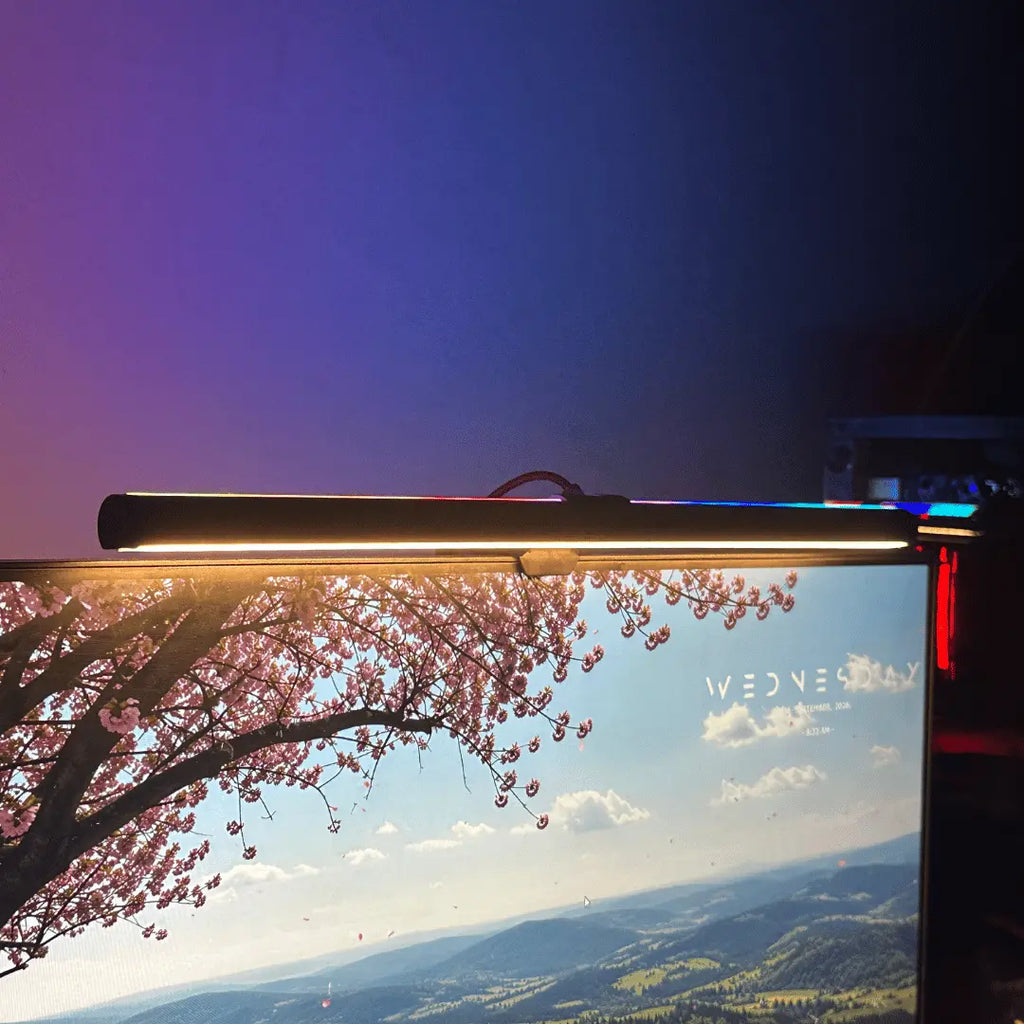 Monitor Light